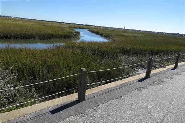 Pitt Street Bridge - Mt. Pleasant