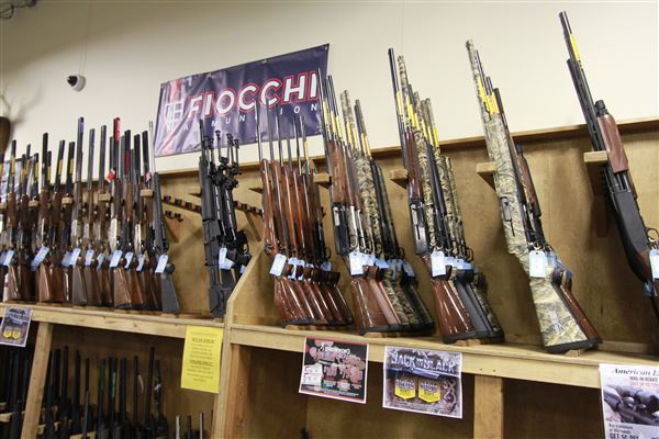 Palmetto State Armory
