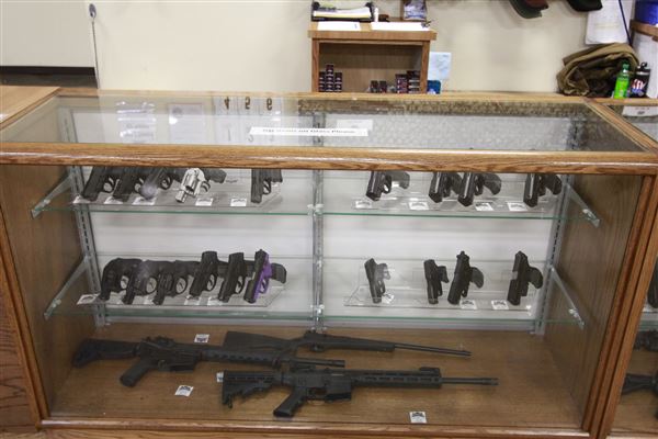 Palmetto State Armory