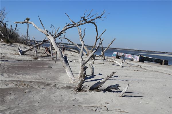 Folly Beach - Lighthouse Inlet Heritage Preserve