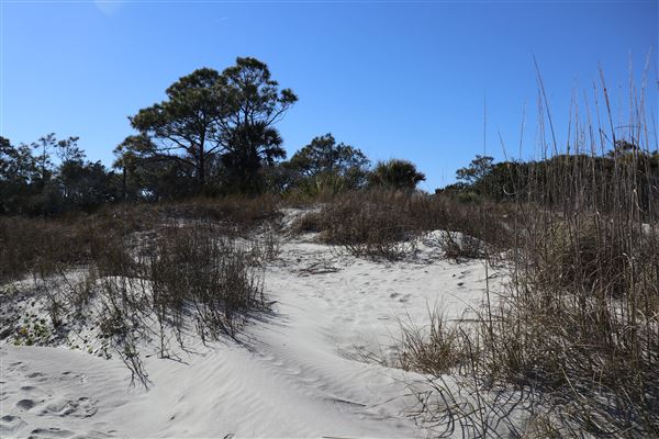 Folly Beach - Lighthouse Inlet Heritage Preserve