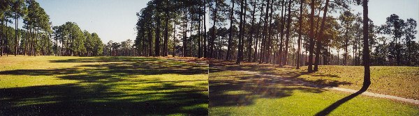 Miller Country Club- Golf Course