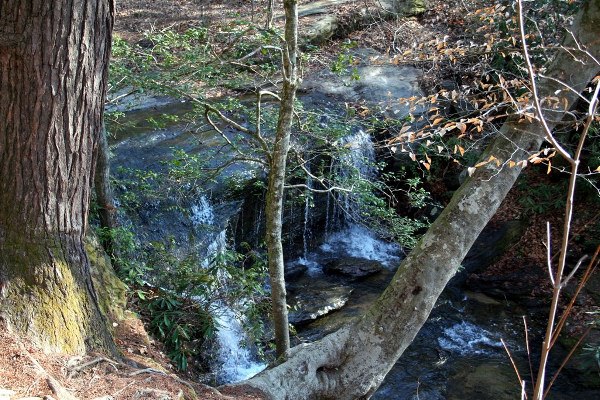 Caesars Head State Park - Wildcat Branch Falls (3/13/2008 - Credits: Dan Hydrick)