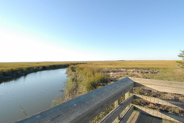 Hunting Island State Park - Marsh Walk (10/19/2009 - Credits: Steve Rhea)