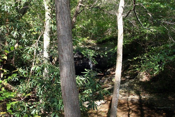 Caesars Head State Park - Wildcat Branch Falls (10/20/2010)