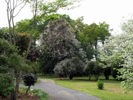 Wilds Edwards House
