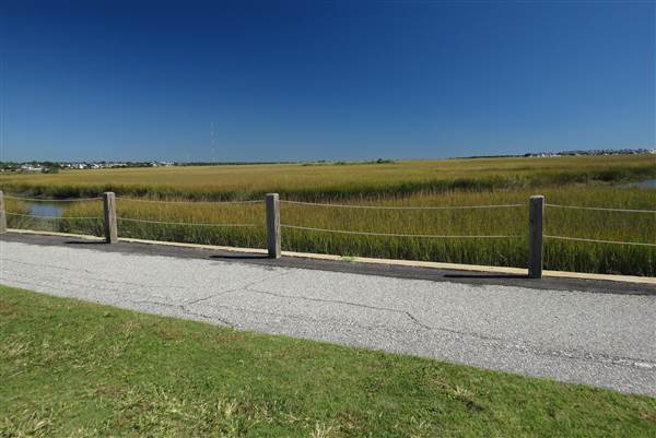 Pitt Street Bridge - Mt. Pleasant