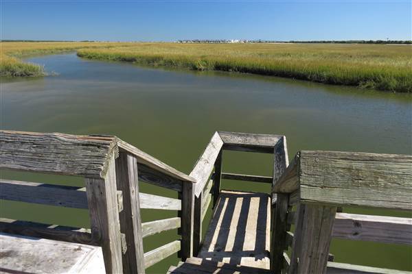 Pitt Street Bridge - Mt. Pleasant