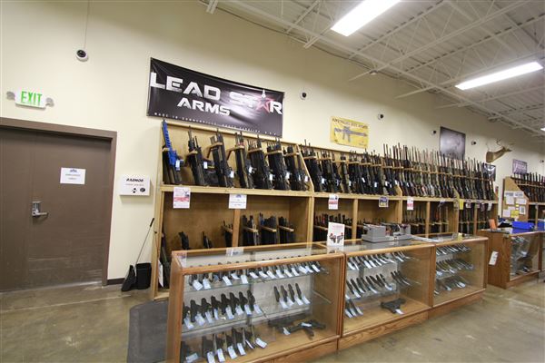 Palmetto State Armory