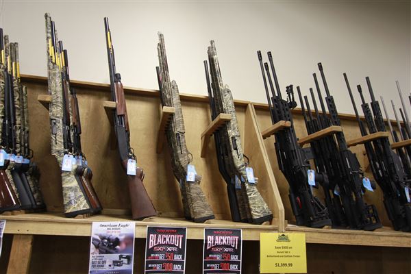 Palmetto State Armory