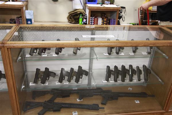 Palmetto State Armory