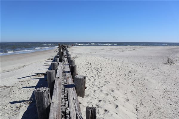 Folly Beach - Lighthouse Inlet Heritage Preserve