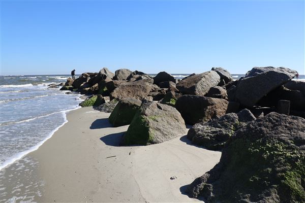 Folly Beach - Lighthouse Inlet Heritage Preserve