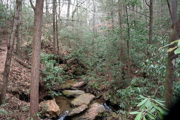 Caesars Head State Park - Wildcat Branch Falls (3/25/2010 - Credits: Dan Hydrick)