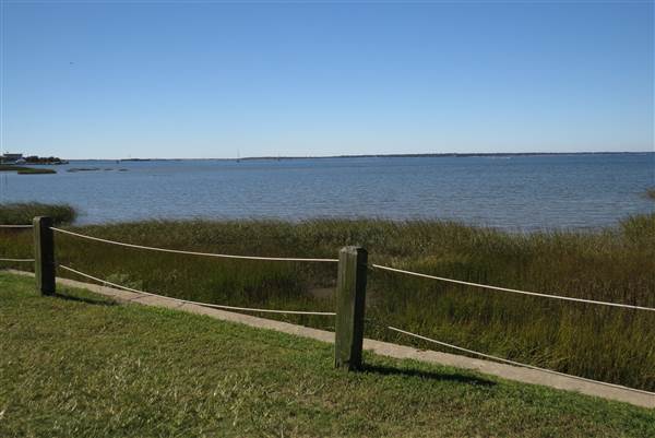 Pitt Street Bridge - Mt. Pleasant