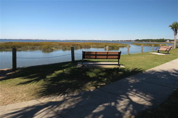 Pitt Street Bridge - Mt. Pleasant