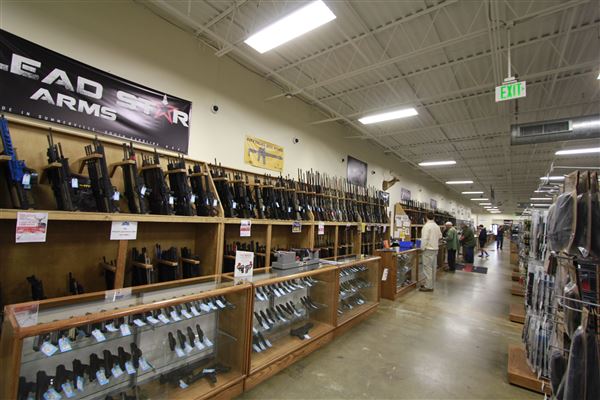 Palmetto State Armory