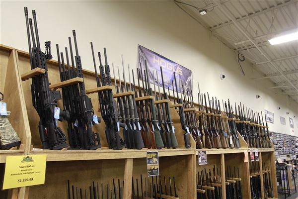 Palmetto State Armory
