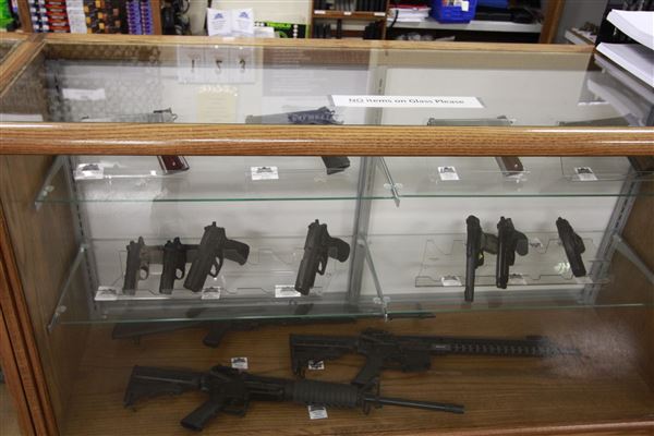Palmetto State Armory