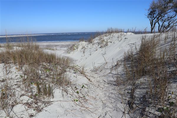 Folly Beach - Lighthouse Inlet Heritage Preserve