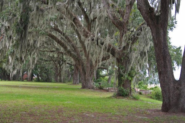 Airy Hall Plantation