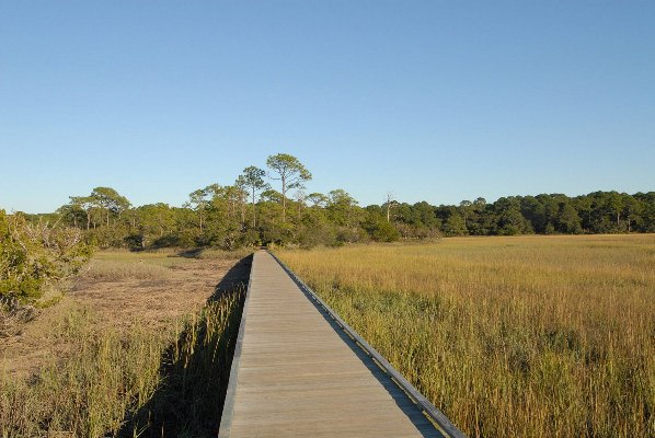Hunting Island State Park - Marsh Walk (10/19/2009 - Credits: Steve Rhea)