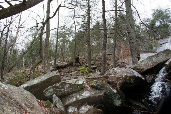 Caesars Head State Park - Wildcat Branch Falls (3/25/2010 - Credits: Dan Hydrick)
