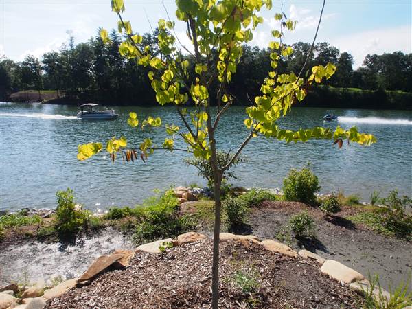 Lake Keowee (8/10/2013)