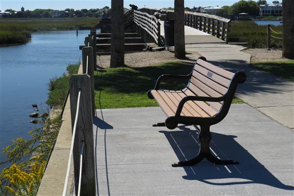 Pitt Street Bridge - Mt. Pleasant
