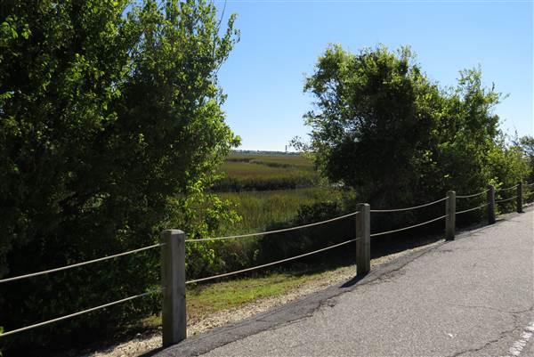 Pitt Street Bridge - Mt. Pleasant