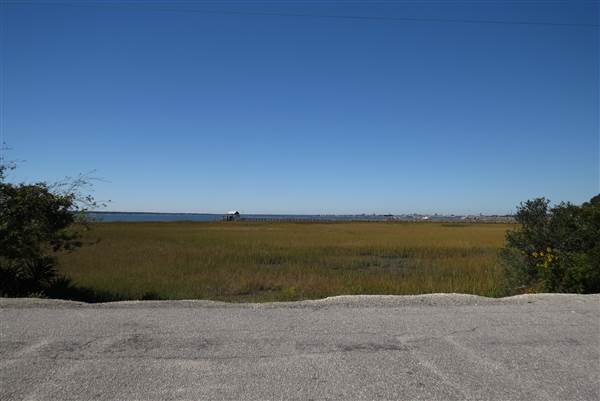 Pitt Street Bridge - Mt. Pleasant