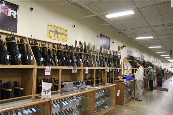 Palmetto State Armory