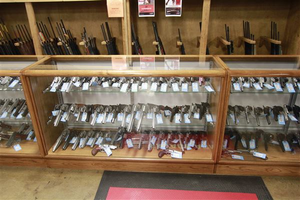 Palmetto State Armory