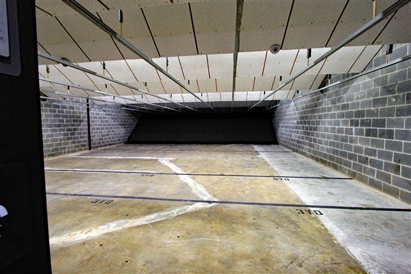 Palmetto State Armory