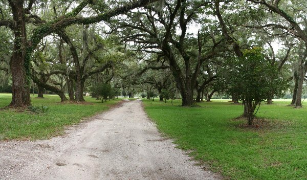Airy Hall Plantation