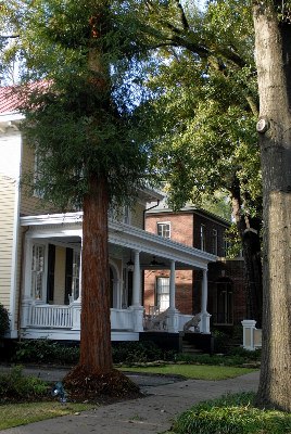 Dick Harpootlian Law Office