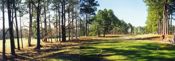 Miller Country Club- Golf Course