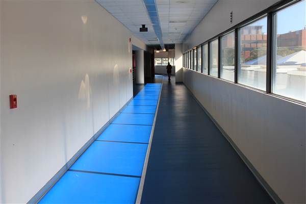 MUSC (Harper Student Wellness Center)