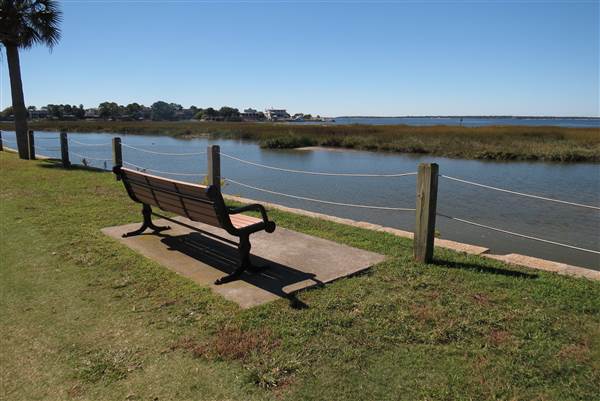 Pitt Street Bridge - Mt. Pleasant