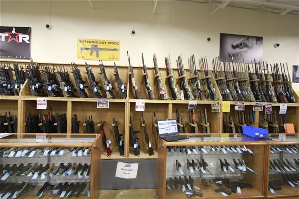 Palmetto State Armory