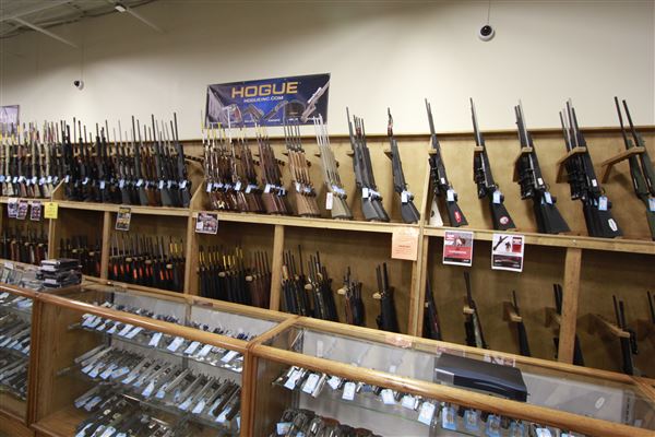 Palmetto State Armory