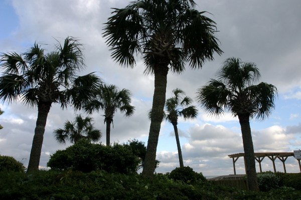 Myrtle Beach - Hurl Park (4/27/2006 - Credits: Cindi Hobgood)