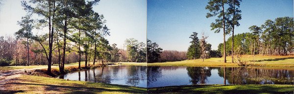 Miller Country Club- Golf Course