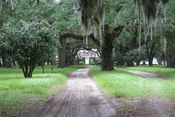 Airy Hall Plantation