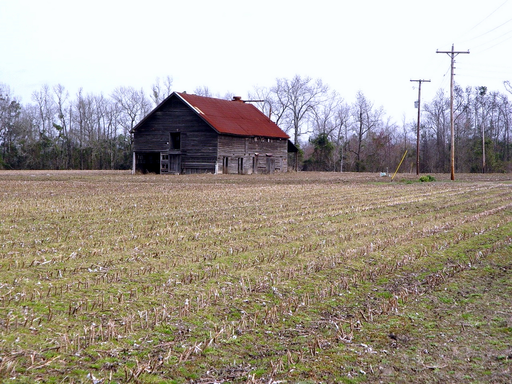 Locations Hub - Old Joe Rast Farms