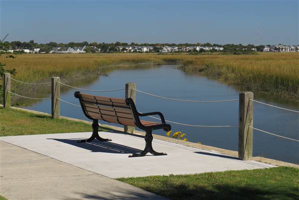 Pitt Street Bridge - Mt. Pleasant