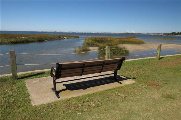Pitt Street Bridge - Mt. Pleasant