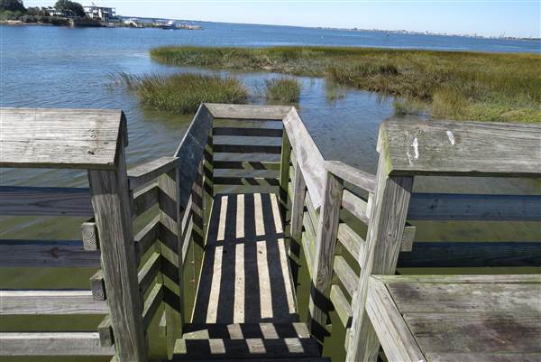 Pitt Street Bridge - Mt. Pleasant