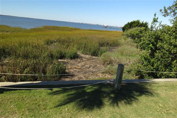 Pitt Street Bridge - Mt. Pleasant