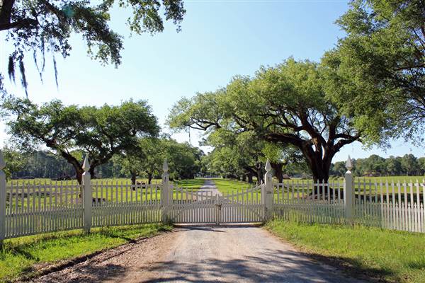 Middleburg Plantation